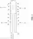 Fig. 05 - Method and device for non-invasive anatomical and systemic cooling and neuroprotection