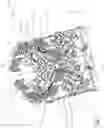 Fig. 02 - MOVEMENT SYSTEM FOR CONTAINER-RETAINING DEVICES AND TRANSPORT EQUIPMENT FOR RETAINING AND TRANSPORTING A CONTAINER