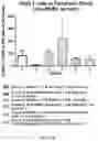 Fig. 09 - COMPOSITIONS AND METHODS FOR REDUCING HOST REJECTION OF ALLOGENEIC CELLS USING SIMIAN ICP47 AND VARIANTS THEREOF