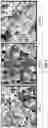 Fig. 03 - COMPATIBILIZATION OF IMMISCIBLE POLYMERS USING CARBON NANOTUBES