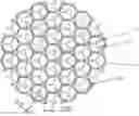 Fig. 01 - SCAFFOLD FOR CELL OR TISSUE CULTURE, THE PREPARING METHOD AND USE THEREOF IN TISSUE ENGINEERING AND REGENERATIVE MEDICINE