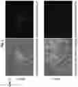 Fig. 03 - METHOD FOR PRODUCING STEM CELLS AND METHOD FOR PRODUCING SOMATIC CELLS