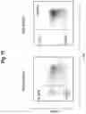Fig. 12 - METHOD FOR PRODUCING STEM CELLS AND METHOD FOR PRODUCING SOMATIC CELLS