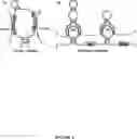 Fig. 02 - PRODUCTS FOR SUPPRESSING OR REDUCING THE EXPRESSION OR ACTIVITY OF A SNORNA AND USES THEREOF IN THE TREATMENT OF CANCER