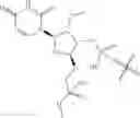 Fig. 07 - COMPOSITIONS AND METHODS FOR TREATING SUBJECTS HAVING A HETEROZYGOUS ALANINE-GLYOXYLATE AMINOTRANSFERASE GENE (AGXT) VARIANT