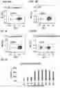 Fig. 04 - COMPLEXES FOR GENE DELETION AND EDITING