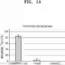 Fig. 02 - RECOMBINANT MICROORGANISM HAVING ENHANCED ABILITY TO REMOVE NITRIC OXIDE AND USE THEREOF