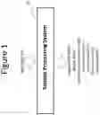 Fig. 02 - METHOD AND APPARATUS FOR PROCESSING ARCHIVED TISSUE SAMPLES