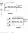 Fig. 10 - FLOW CHEMISTRY SYSTEM AND METHOD FOR CARBOHYDRATE ANALYSIS