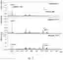 Fig. 12 - FLOW CHEMISTRY SYSTEM AND METHOD FOR CARBOHYDRATE ANALYSIS