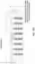 Fig. 16 - Cartridges for immunoassay tests and methods of using the same