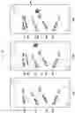 Fig. 31 - Method and device for providing handwriting input in electronic device
