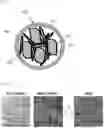 Fig. 02 - ANODE ACTIVE MATERIAL COMPRISING SILICON COMPOSITE, PREPARATION METHOD THEREFOR, AND LITHIUM SECONDARY BATTERY COMPRISING SAME