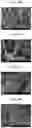 Fig. 06 - BINDER, COMPOSITION FOR MANUFACTURING DRY ELECTRODE, DRY ELECTRODE, AND METHOD OF MANUFACTURING DRY ELECTRODE