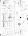 Fig. 02 - Audio system with dynamic target listening spot and ambient object interference cancelation