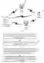 Fig. 02 - INFORMATION TRANSMISSION METHOD AND RELATED DEVICE