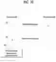Fig. 11 - METHOD AND APPARATUS FOR PERFORMING CONFIGURED GRANT BASED SMALL DATA TRANSMISSION IN WIRELESS COMMUNICATION SYSTEM