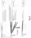 Fig. 07 - Content of CSI Report in RACH Process
