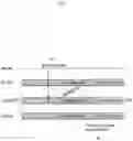 Fig. 04 - METHOD AND DEVICE FOR TIME POINT FOR STARTING MBS CONFIGURATION