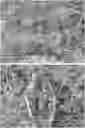Fig. 01 - METHODS AND COMPOSITIONS