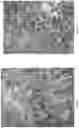 Fig. 06 - METHODS AND COMPOSITIONS