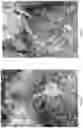 Fig. 08 - METHODS AND COMPOSITIONS