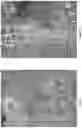 Fig. 09 - METHODS AND COMPOSITIONS