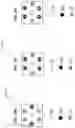 Fig. 32 - Continuous analyte monitoring system with microneedle array