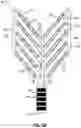 Fig. 07 - CATHETER END EFFECTOR WITH LATERALLY PROJECTING BODY
