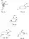 Fig. 22 - INTRAOCULAR LENSES AND PERIPHERAL PORTION STABILIZATION