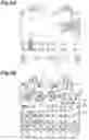 Fig. 09 - AIR PUMP SYSTEM FOR MASSAGER