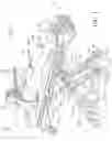 Fig. 02 - CHEST COMPRESSION SYSTEM RETAINER WITH RIGID BRACE FOR USE WITH A PATIENT TRANSPORT APPARATUS