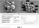 Fig. 02 - METHODS AND COMPOSITIONS FOR TREATING A FIBROTIC DISEASE