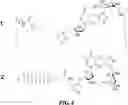 Fig. 07 - METHODS AND COMPOSITIONS FOR TREATING A FIBROTIC DISEASE