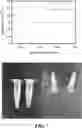 Fig. 08 - METHODS AND COMPOSITIONS FOR TREATING A FIBROTIC DISEASE