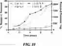 Fig. 11 - METHODS AND COMPOSITIONS FOR TREATING A FIBROTIC DISEASE