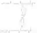 Fig. 06 - CROSSLINKED PARTICLES