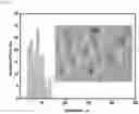 Fig. 19 - CROSSLINKED PARTICLES