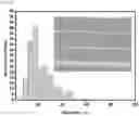 Fig. 20 - CROSSLINKED PARTICLES