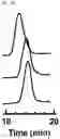 Fig. 22 - CROSSLINKED PARTICLES