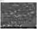 Fig. 25 - CROSSLINKED PARTICLES