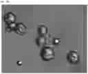 Fig. 34 - CROSSLINKED PARTICLES