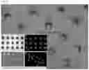 Fig. 47 - CROSSLINKED PARTICLES