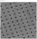 Fig. 48 - CROSSLINKED PARTICLES