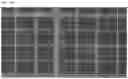 Fig. 49 - CROSSLINKED PARTICLES