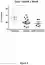 Fig. 04 - Compositions and methods for the treatment of brain injury