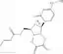 Fig. 331 - Nucleoside derivatives and methods of use thereof