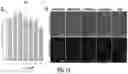 Fig. 07 - Preparation of a Brain Targeted Artificial Nano-Enzyme and Application