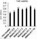 Fig. 01 - Pharmaceutical composition including laminin fragments to treat or prevent the disease, disorder or symptom of tooth dentin and/or dental pulp