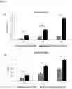 Fig. 06 - Pharmaceutical composition including laminin fragments to treat or prevent the disease, disorder or symptom of tooth dentin and/or dental pulp